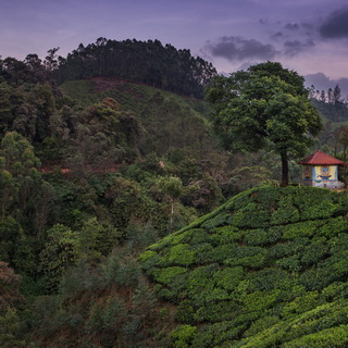 Munnar - Tempeltje